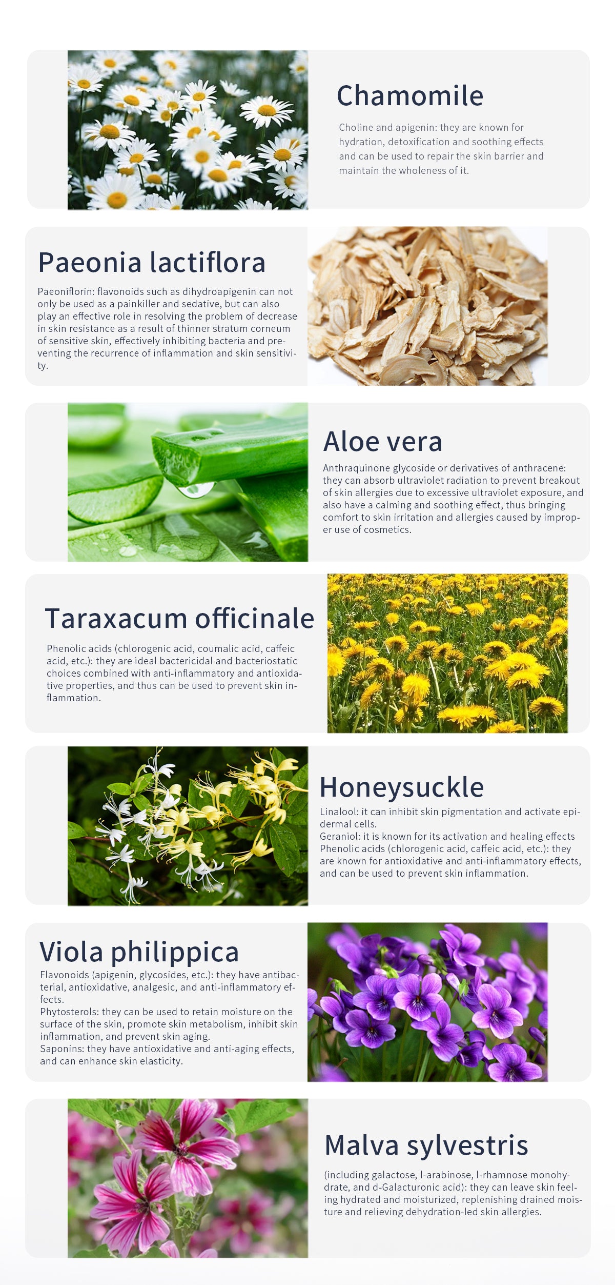 Bécot Beauté – Tägliches Pflegeset – Sonnenschutz & Feuchtigkeitspflege